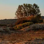 Smokinia - Kavatsi Beach, Apartament